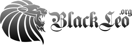 BlackLeo - Oven Servers