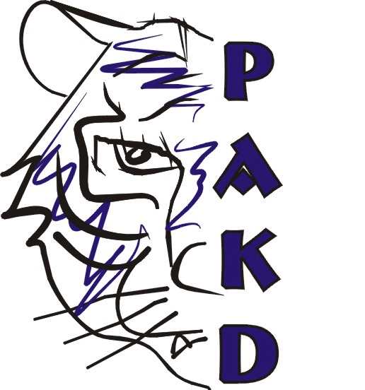 Podkarpacka Agencja Konsultingowo - Doradcza - Oven Servers