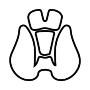 Endokrynolog krosno - Oven Servers